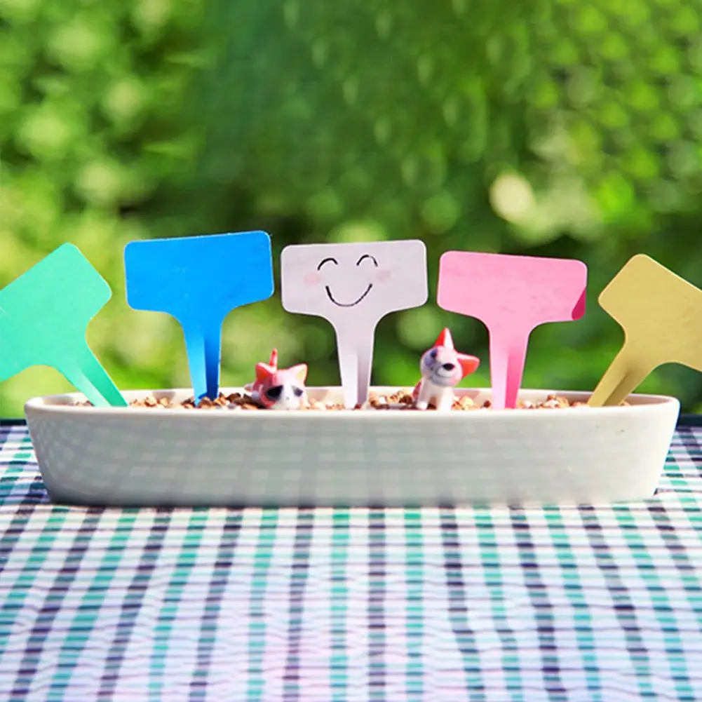 Нет T образной водонепроницаемой маркерной таблички для садовых растений маркер