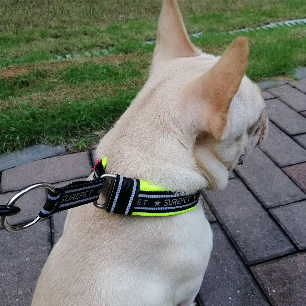 Reflective Collar for Dogs Nylon Adjustable Dog Collar Soft Padded Explosion Proof Pet Collar for Medium Large Dogs Training Red