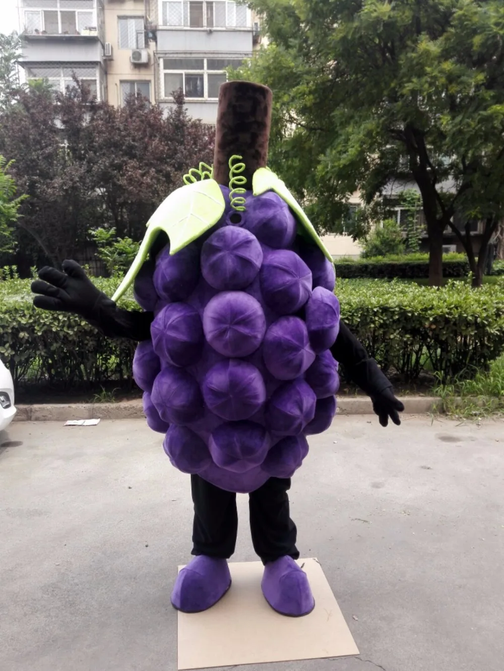 Костюм Косплей из аниме фрукты на заказ|dresses china|dress exoticdress celeb |