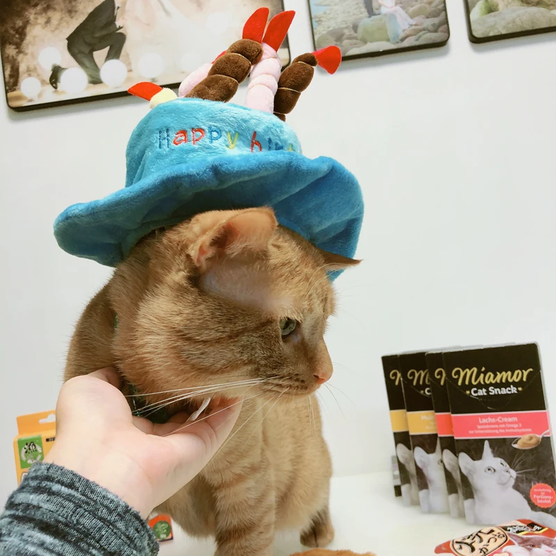 Счастливый день рождения Pet бейсболка с кошкой колпачок для кошки Рождество Фестиваль аксессуары для домашних животных милые шапки товары для котов котенок аксессуар на голову