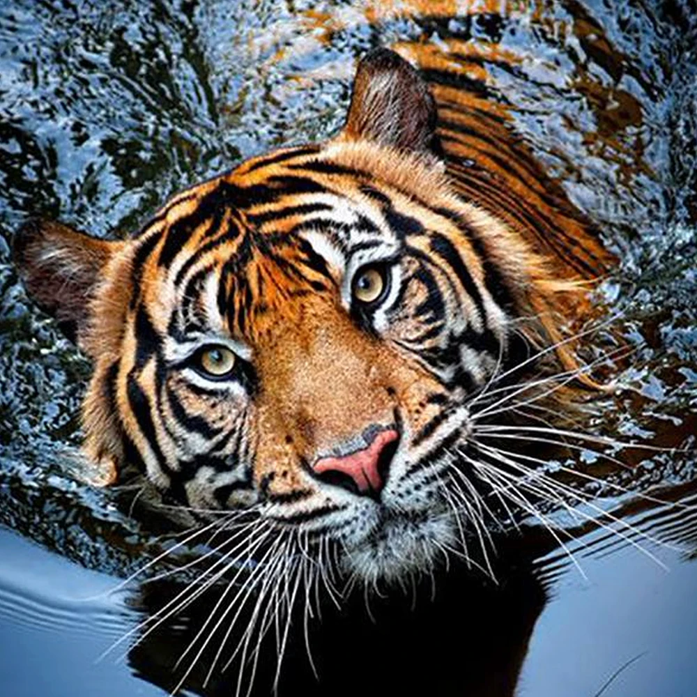 Животное тигр 5D Сделай Сам алмазная живопись вышивка крестиком плавающий Тигр