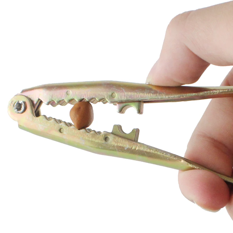 Щипцы для орехов щипцы сосновых кухонный инструмент закусок|tool tool|tools kitchentool nut |