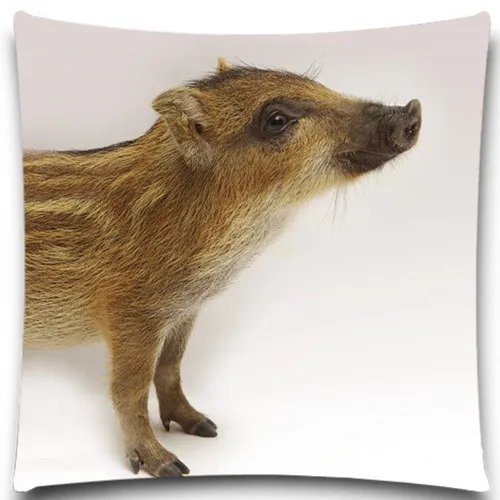 Animals pig Square 45*45 cm creative pillow case office Wedding bedding couch Vintage home decorative 5 size 9 style | Дом и сад