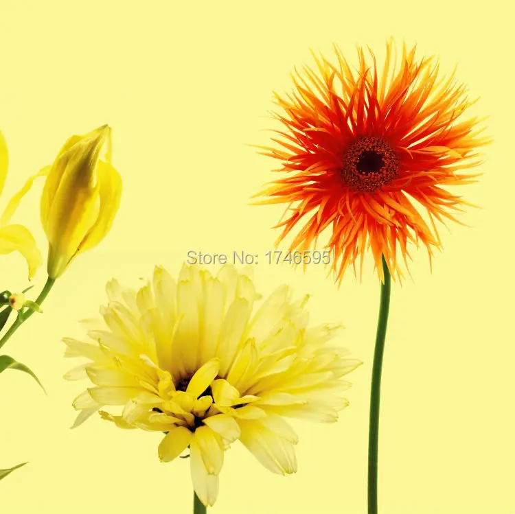 Абстрактная желтая Маргаритка большого размера 3 шт. Настенная картина для