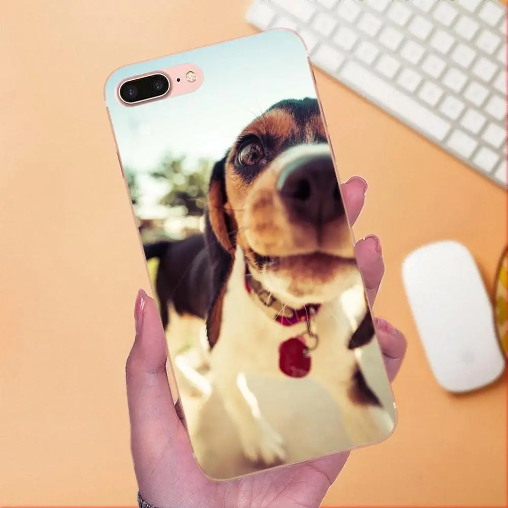 For Galaxy A3 A5 A7 On5 On7 2015 2016 2017 Grand Alpha G850 Core2 Prime S2 I9082 Soft Covers Funny Animal Miniature Husky | Мобильные