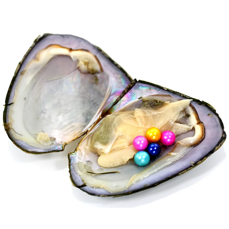 2018 Новый 20 шт./лот несколько жемчуг в пресной воде Oyster с AAA Класс Многоцветный