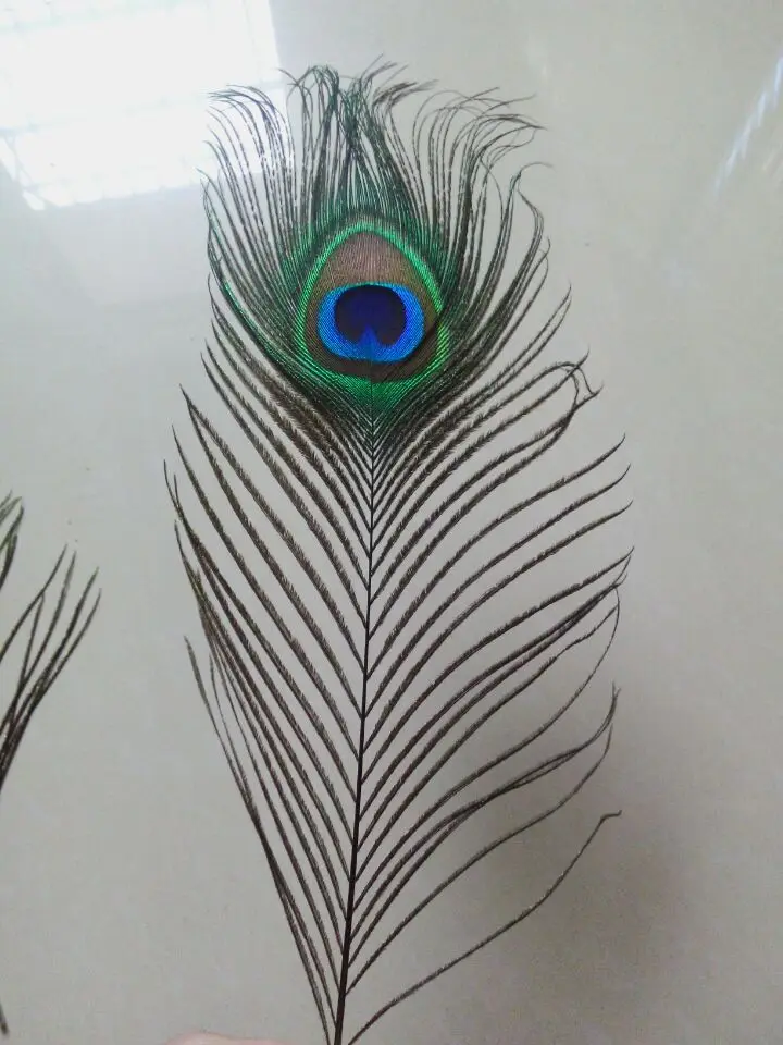 Новинка! Продажа 100 шт. 100% Высококачественные Натуральные перышки павлина 10-12