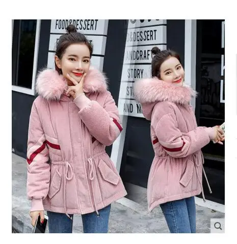 

Short cotton-padded women's winter 2020 new Korean version of loose and thick cotton jacket women's down cotton suit