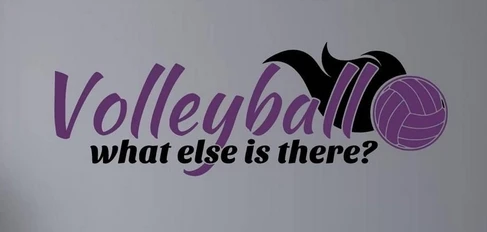 Волейбольная Спортивная виниловая наклейка на стену Софтбол надпись слово