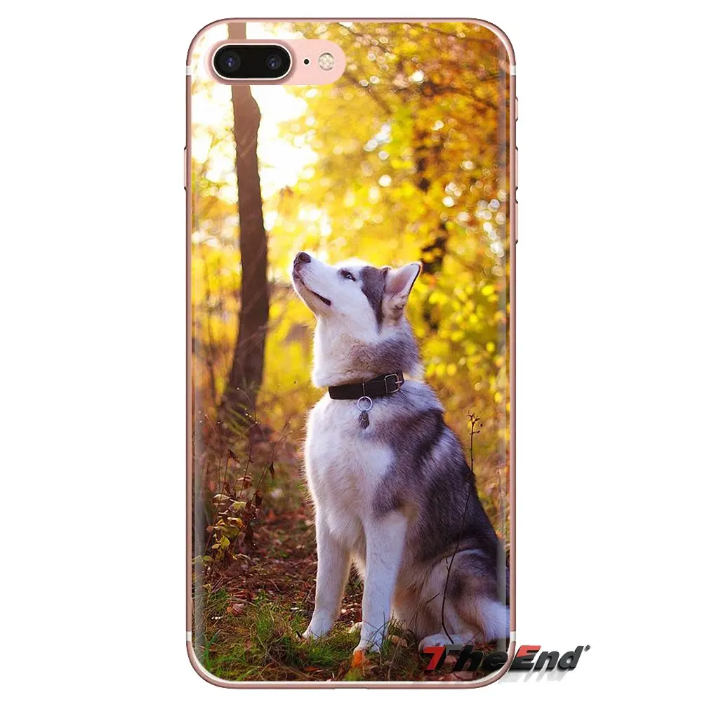 Чехол для телефона из силикона с рисунком щенков сибирской хаски Huawei Mate Honor 4C 5C 5X 6X