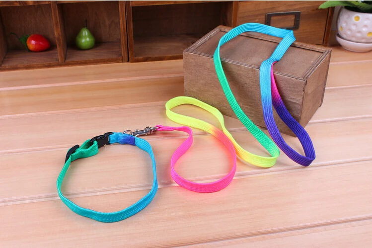 Ошейник с поводком для собак и кошек цветной ошейник колокольчиком 110 см | Дом сад