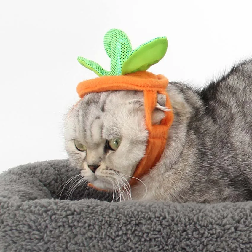 Новые шапки для кошек собак на день рождения шапка Хэллоуин тыква кошки котенок