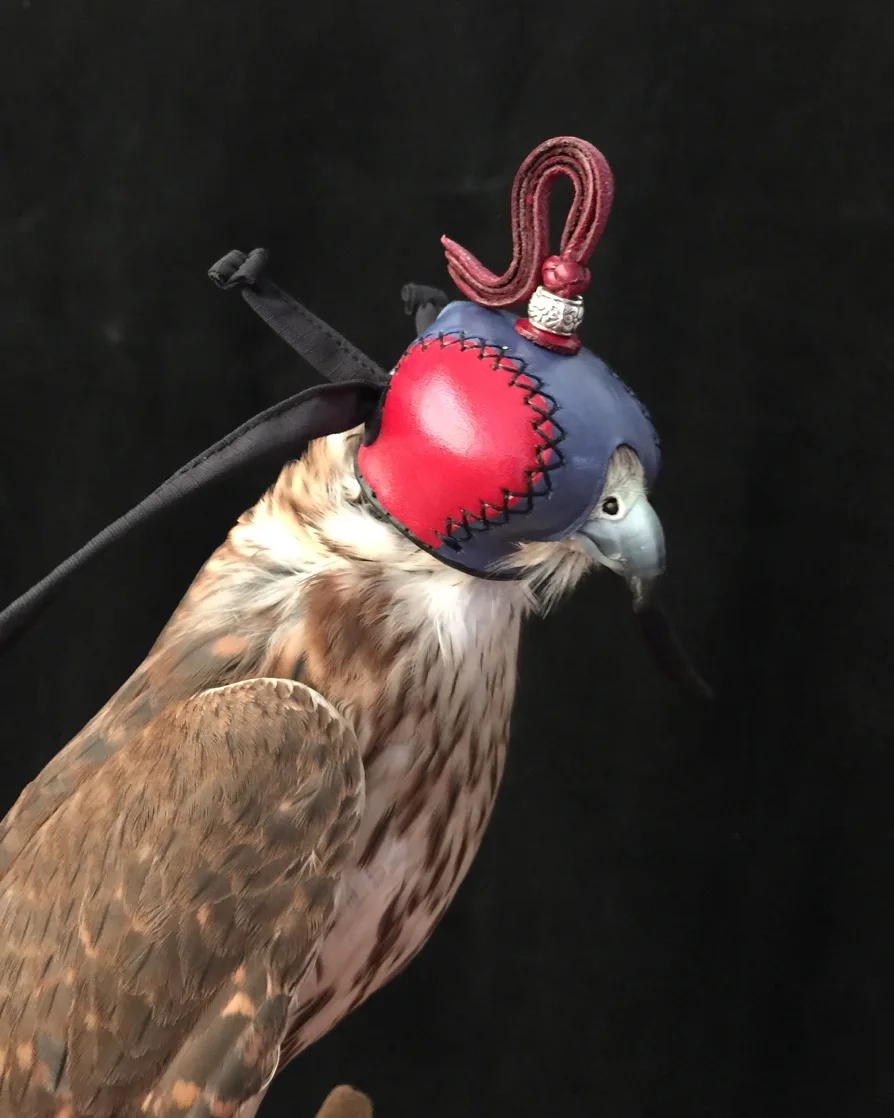 Falconry Eagle кричащий капюшон Сокол шляпа маска для глаз шлем голландская педаль
