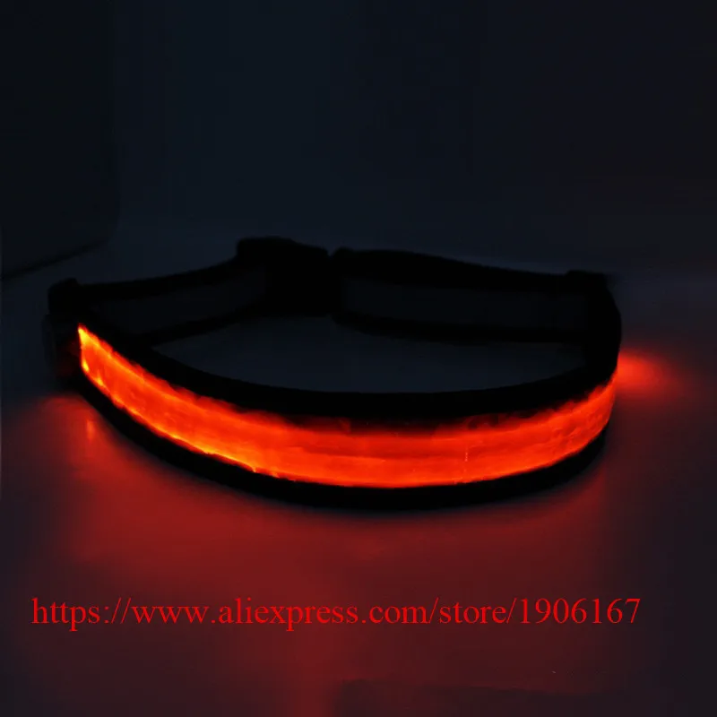 Hot Sale LED Flashing Party Waistband Safety Reflective Belt Girdle For Event Supplies | Дом и сад