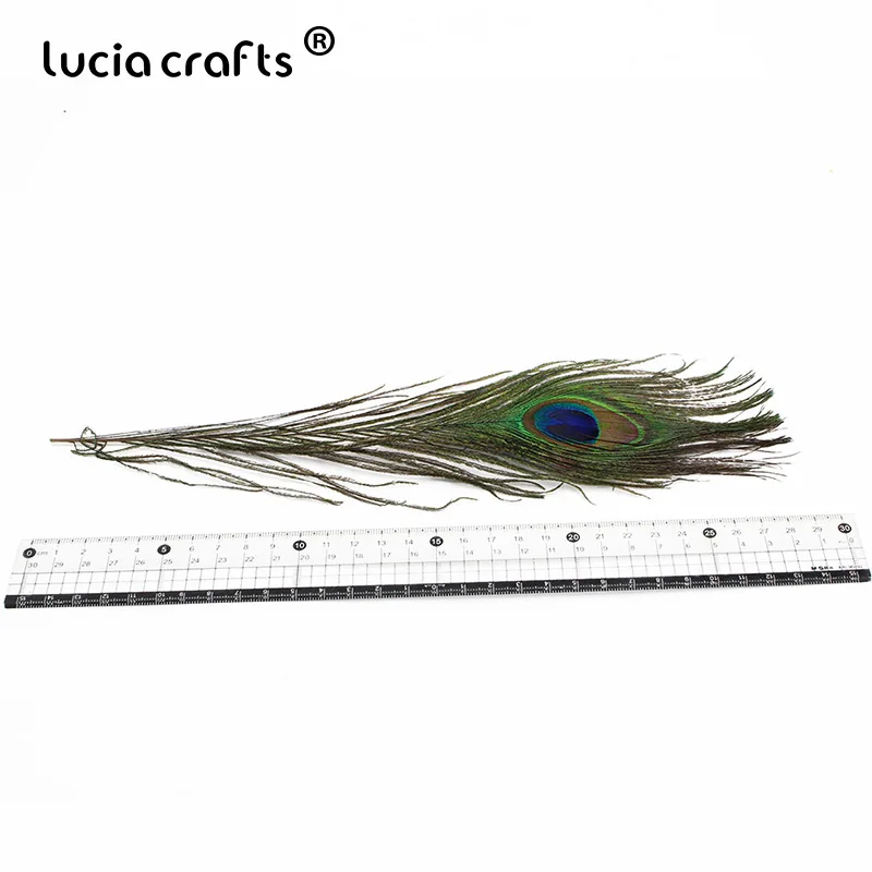 Lucia crafts 25-30 см натуральный хвост Павлиньего глаза Перья DIY волосы для свадебной вечеринки украшения дома 5 шт./лот H0504
