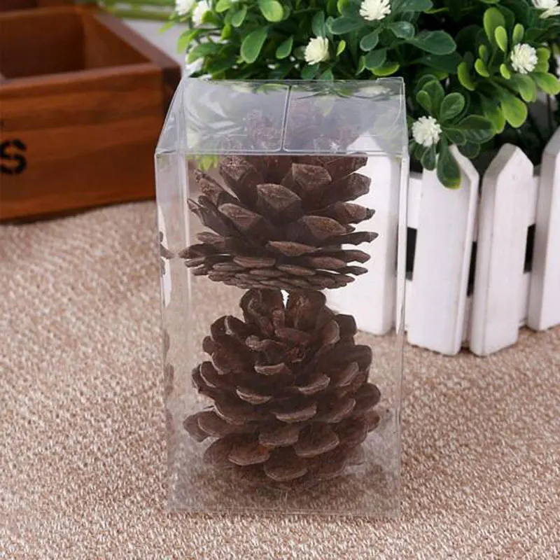 Прямоугольные пластиковые прозрачные коробки из ПВХ 5 видов прозрачная