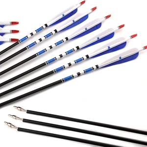 Стрелы Углеродные, 31 дюйм, 61224 шт., 500, с наконечником стрелы, оперение из натурального индейки для охоты, стрельбы из лука, Для Составного рекурсивного лука