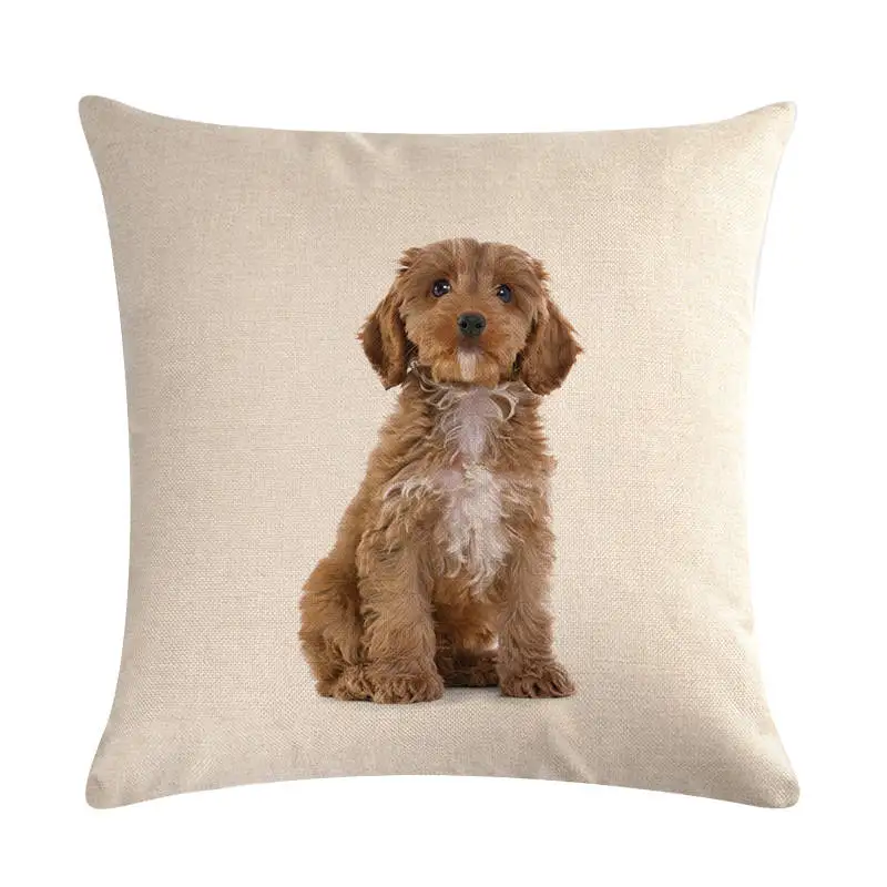 Милые домашние собаки/наволочка для подушки с рисунком кошек квадратная