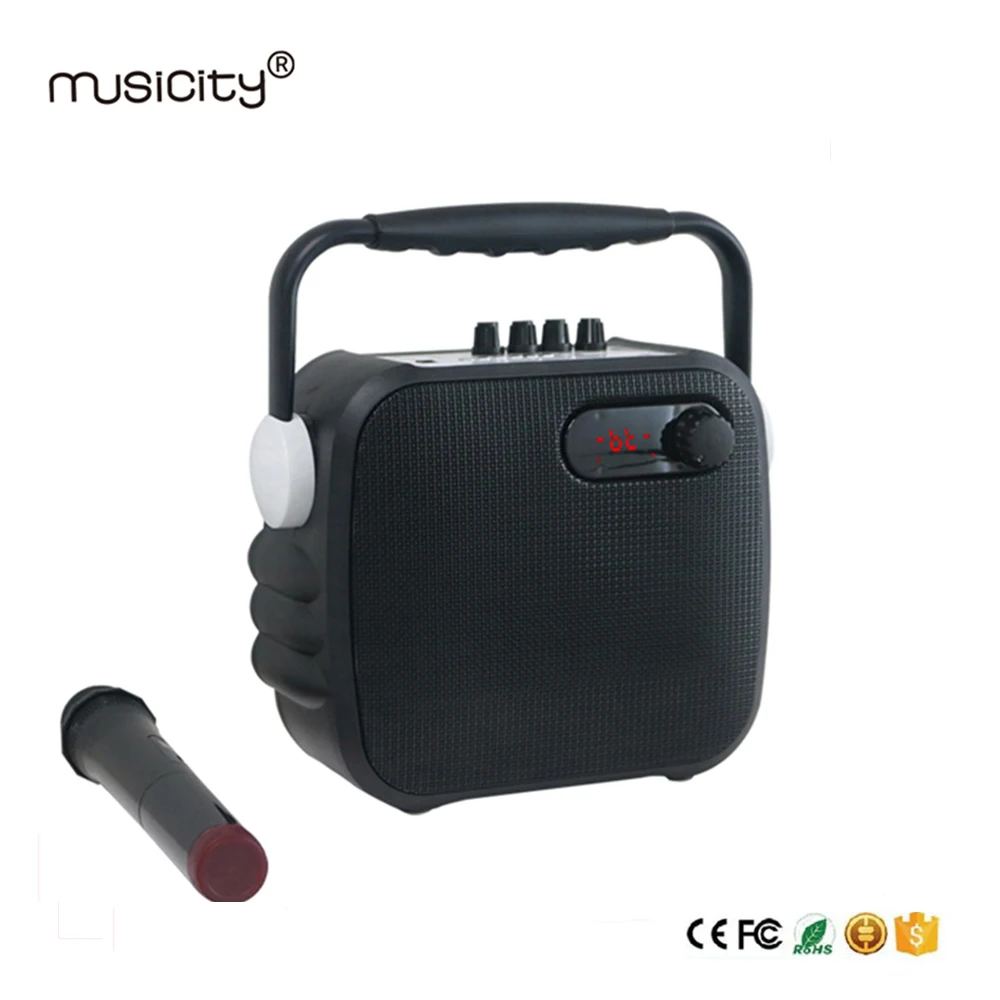 Musicity портативный PA Professional караоке Bluetooth динамик системы со звуком усилители