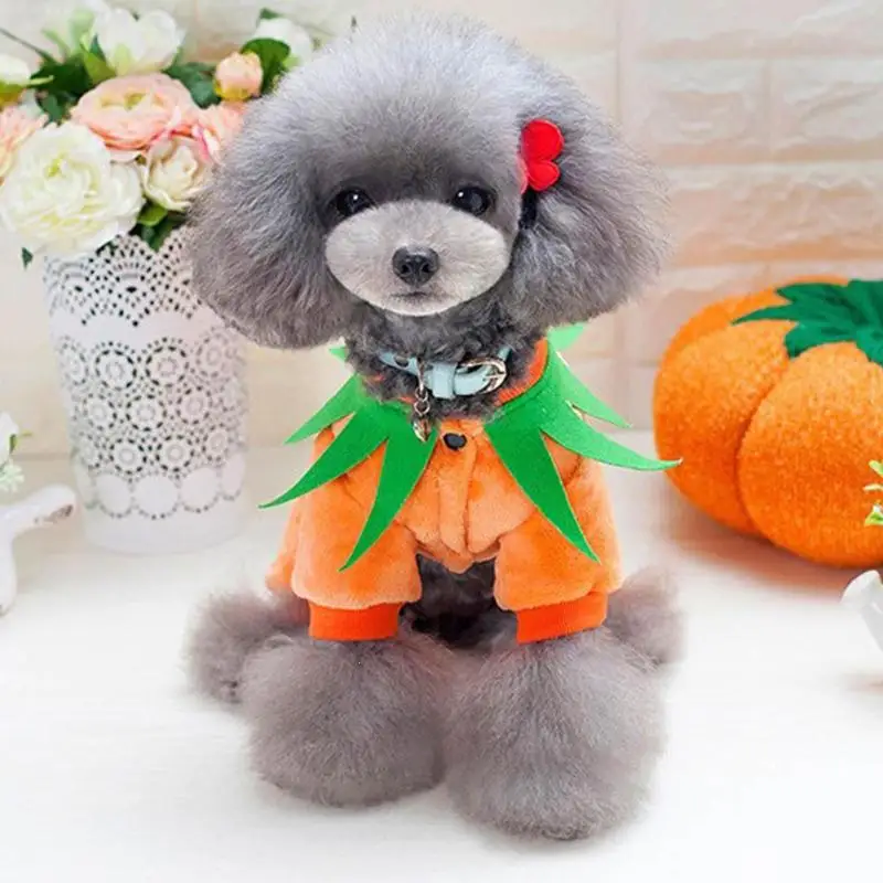 Pet Одежда Хэллоуин Тыква теплый мягкий бархат Животные одежда пальто