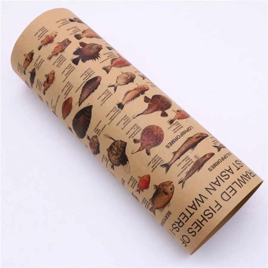 

Sea fish collection chart Vintage kraft paper poster Retro bar cafe wall sticker decoration print picture painting 45.5x31.5cm