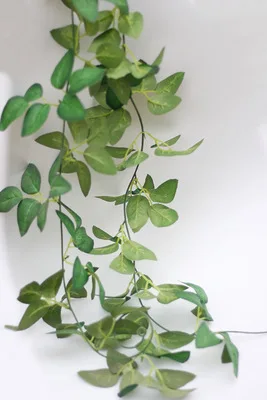 green 1 шт./лот 2 м длинная искусственная шелковая зеленая гирлянда из листьев плюща растения искусственная Виноградная лоза имитация листвы растения для дома и сада вечерние украшения DIY - Цвет: green
