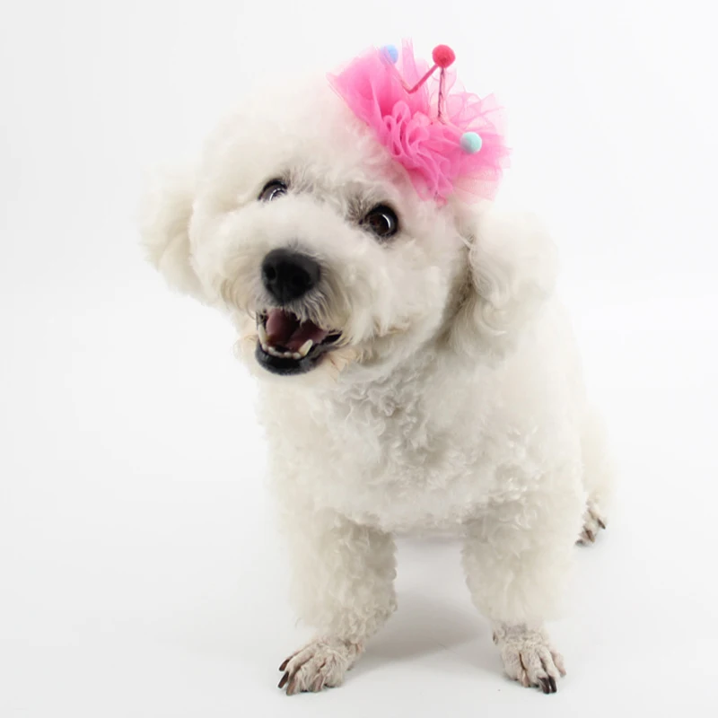 1 шт. Милая Кружевная заколка для волос в виде короны принцессы собаки кошки