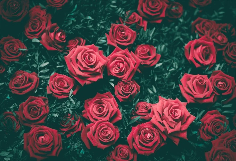 

Laeacco Red Blossom Rose Flower Wedding Party Baby Portrait Photo Background Photography Backdrops Photocall Photo Studio