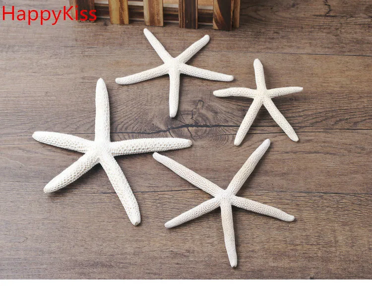 

HappyKiss 12Pcs 2-4" White Starfish Five Finger Beach Coastal Wedding Decor Pretty Crafts sea star natural crafts