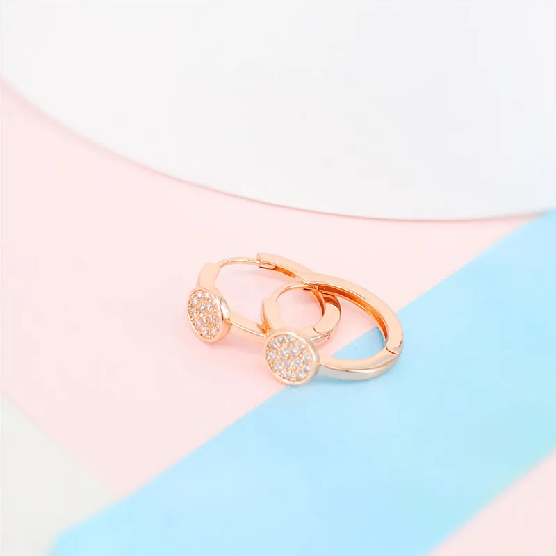 ROXI Новые Модные серьги-кольца ювелирные изделия цвета розового золота Круглые Кристальные серьги для женщин и девушек подарки на день рождения oorbellen