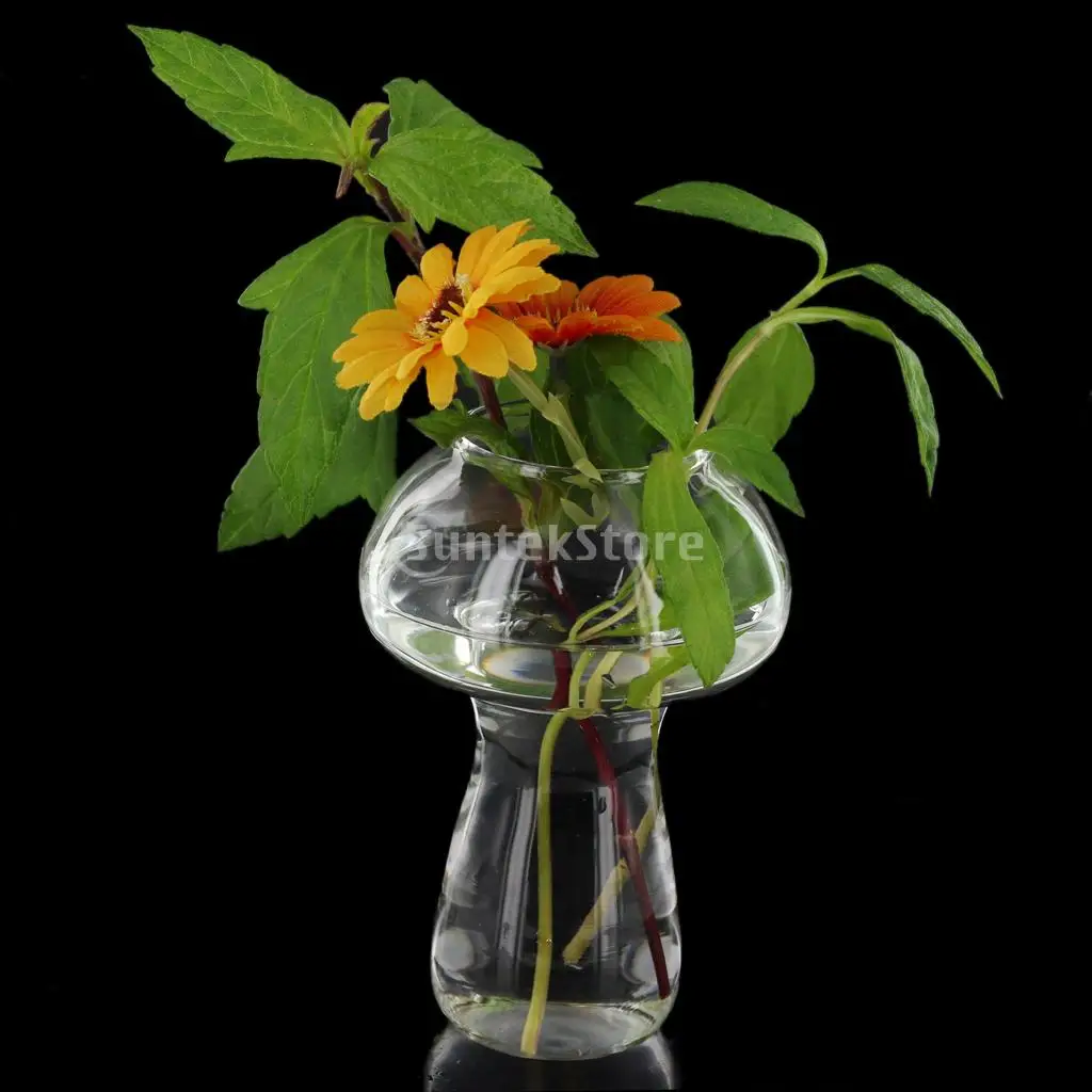 Прозрачная стеклянная ваза для украшения растений цветов грибов|vase bottle|glass vaseclear