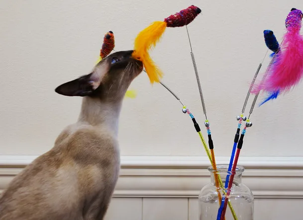 

usd 1.98/pcs Free shipping pet cat kitten toys cat teaser cat fishing pole cat sticks elastic springs with fish 20pcs/lot
