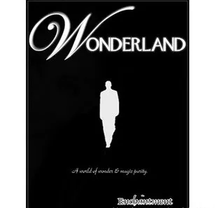 Бесплатная доставка! Wonderland монета исчезает крупным планом Волшебные трюки