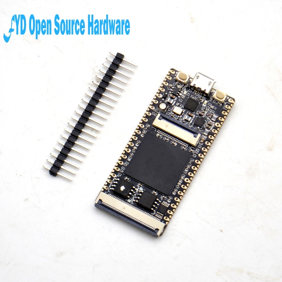 1 шт. 64 Мбит SDRAM RISC V модуль макетной платы Мини ПК + FT2232D JTAG USB RV