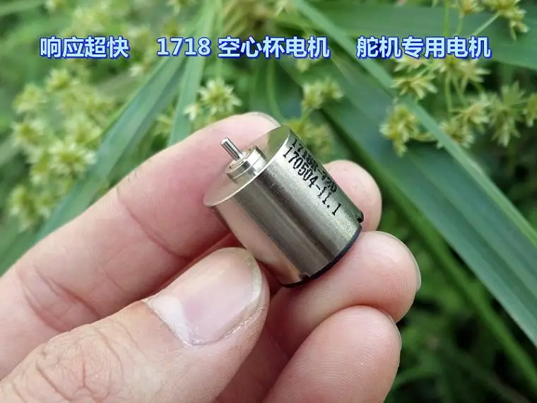 NdFeB высокопрочный Магнитный DC12V высокоскоростной бесшумный двигатель рулевого управления с высоким крутящим моментом 1718 двигатель с полой чашкой