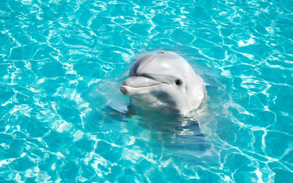 Пользовательские занавески 3d для гостиной современные синие морские волны