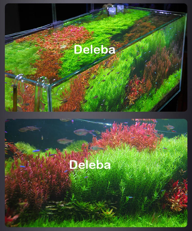 RGB Светодиодная лампа для роста растений, восхода, заката, дистанционного управления, многоканальный, красный, зеленый, для улучшения аквариума
