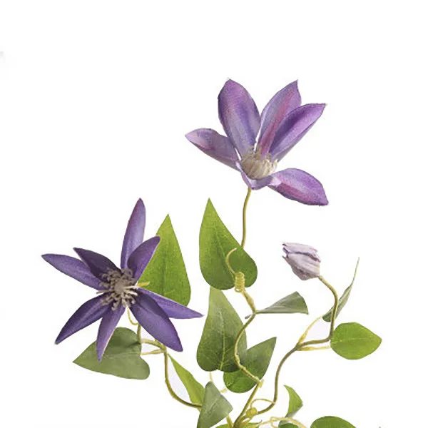 Purple CHENCHENG Лотос искусственные цветы из шелка Клематисы латексные настоящие Свадебные букеты вечерние для дома - Цвет: Purple