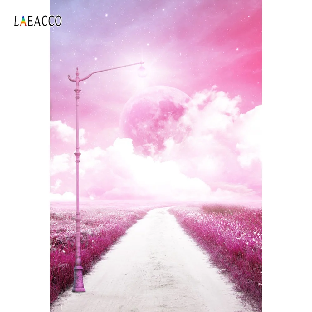 Laeacco розовый мечтательный Луна цветы лампочка путь масляной живописи шаблон для