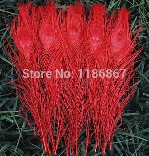 Бесплатная доставка красное окрашенное перо павлина 100 шт./лот длина 25 30 см 10 12