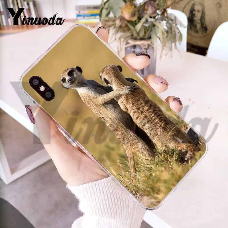 Чехол Yinuoda для iphone 7 6 X прозрачный чехол с изображением животных из серии meerkats iPhone 8