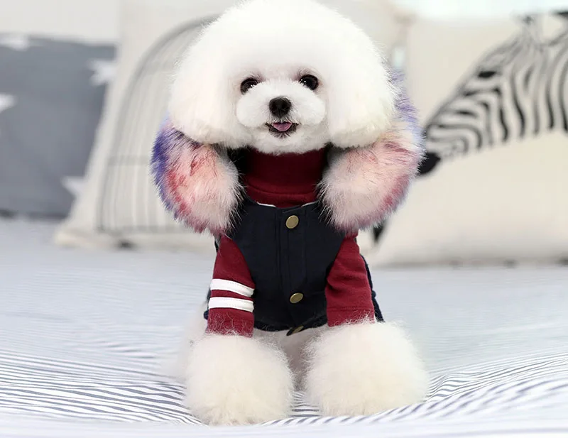 Petshy/зимняя одежда для собак; роскошный воротник из искусственного меха; пальто для маленьких собак; теплая ветрозащитная парка для питомцев; куртка для щенков с флисовой подкладкой