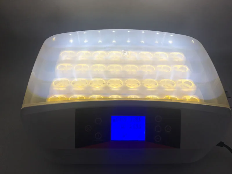 Бесплатная доставка инкубатор для цыплят и перепелиных 32 дюйма|automatic chicken|quail