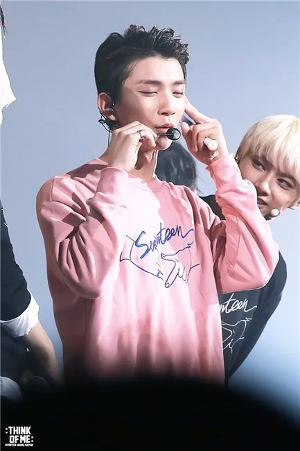 WEJNXIN Kpop Seventeen толстовки для женщин модные имя члена печати О образным вырезом флис свитер для женщин, пуловер с капюшоном Sudaderas