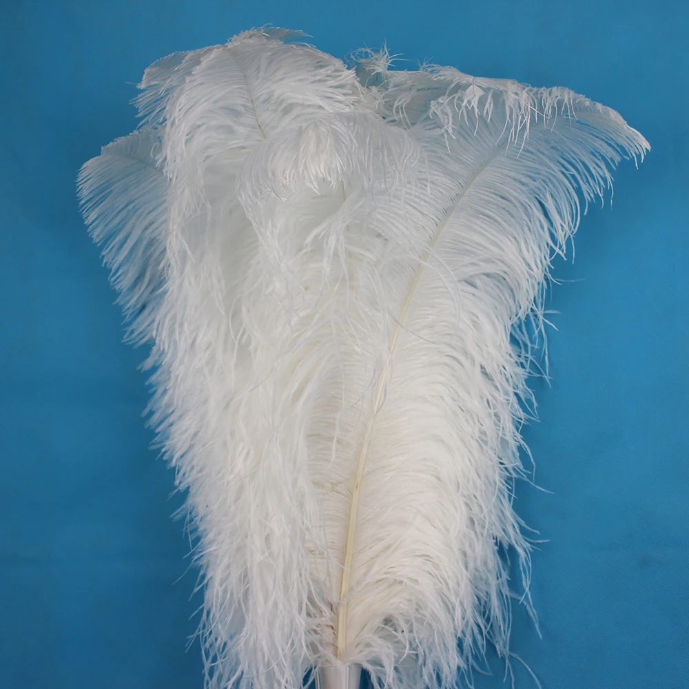 50 шт. перо страусиного дерева 55 см/20 22 дюйма|white ostrich feathers|feathers for wedding decorationostrich feather