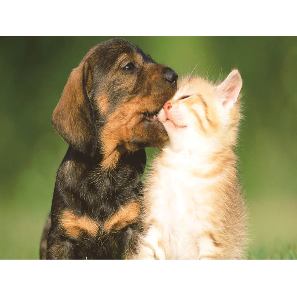 Pictures By Numbers Embroidery Paintings 5D Plant Rhinestone Pasted DIY Diamond Painting Stitch Vintage Poster 19Mer29 P40 | Дом и сад