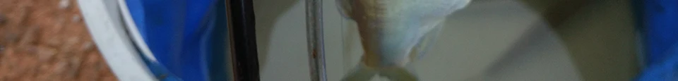 TSURINOYA 2Secs 1,4 m спиннинговое удилище UL 1-6g/2-6LB пробковая ручка углеродное спиннинговое удилище Vara De Pesca Olta Cana De Pescar Peche