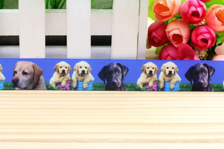 7/8 ''Бесплатная доставка корсажная лента с принтом собаки головной убор бантом