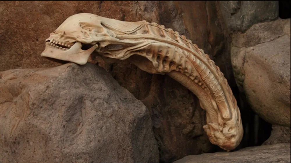 Модель черепа инопланетянина из смолы декоративная модель для хэллоуина