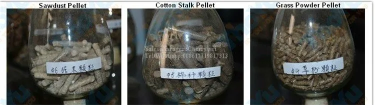 Гранулятор для корма животных в морской порт Casablancas по морю|pellet mill|pellet feedpellet mill feed